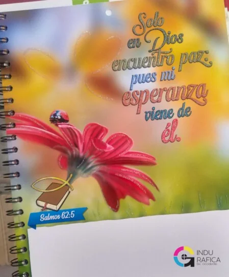 Agendas, cuadernos, 7 materias